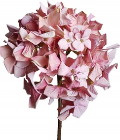 Hortenzia hortenzia ág rózsaszín művirág