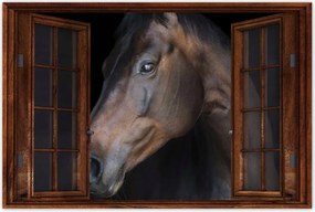 Poszter 60x40 Lófej