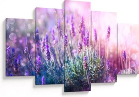 Kép - Levendula a csillogó napban (150x105 cm)