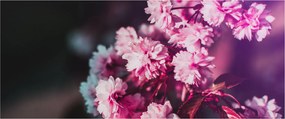 Fa virágok képe (120x50 cm)