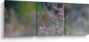 Kép - Fű részlet (órával) (90x30 cm)