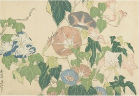 Modern fotótapéta Flizelina falra Virágos elegancia 152x104 Ragasztó