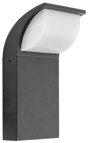 Rabalux 7166 - LED Kültéri fali lámpa HONGKONG LED/9W/230V IP65