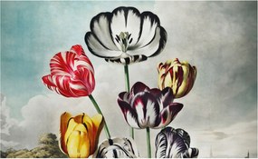 Fotótapéta Fali tapéta Hálószoba Nappali Színes tulipánok 416x254 Ragasztó