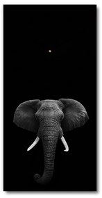 Négyszögletes fali üvegóra Afrikai elefánt pl_zsp_30x60_c-f_49228540