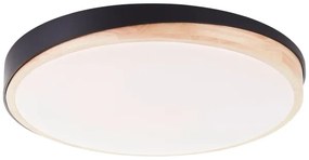 Brilliant - LED Dimmelhető mennyezeti lámpa BAARLO LED/36W/230V átm. 50 cm fekete + távirányító