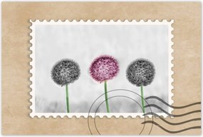 Poszterek 90x60 Pitypangok