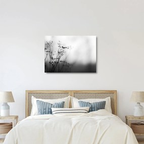 Kép - Réti virágok részlete (üvegen) (70x50 cm)