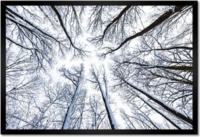 Poszterek keretben 60x40 Fa Kilátás