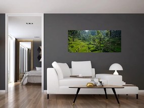 Kép a rizs teraszokról, Tegalalang, Bal (120x50 cm)