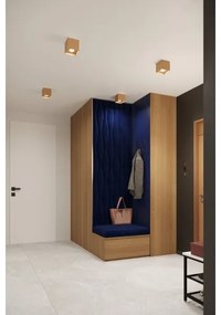 Sollux SL.1279 - Spotlámpa HATI 1xGU10/10W/230V arany