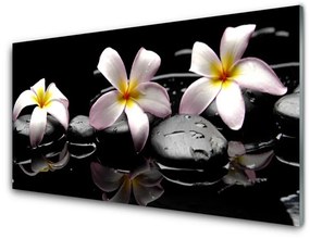Üvegfotó Stones virág növény 120x60cm