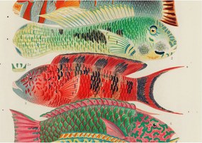 Flizelina Dekoratív Fotótapéta Hálószobába Egzotikus halak 208x146 Ragasztó