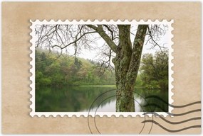 Poszterek 90x60 Fa Folyó Erdő