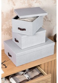 Világosszürke fedeles karton tárolódoboz szett 3 db-os 31x47x15 cm Inge – Bigso Box of Sweden