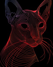 Poszter 40x50cm Digitális macska