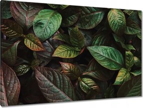Vászonkép 120x80 Trópusi levelek Levelek