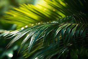 Poszter 91,5x61cm Zöld kondenzáció