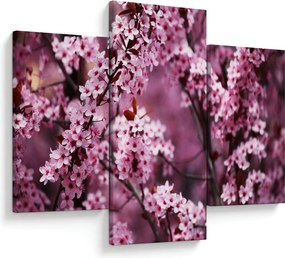 Kép - Rózsaszín sakura (90x60 cm)