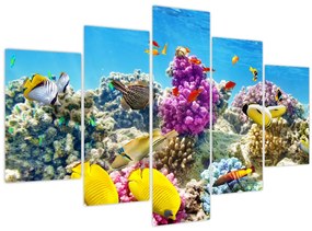 Kép - A tenger világa (150x105 cm)
