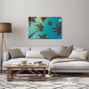 Kép - Magas pálmafák (90x60 cm)