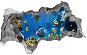 3d lyuk fal dekoráció Korallzátony nd-b-36026012