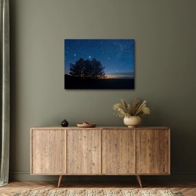 A fák éjjel képe (70x50 cm)