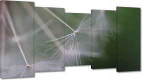 Vászonkép 150x80 Pitypang Virág Virágok