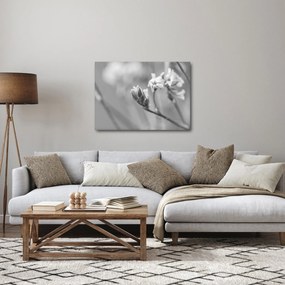 Kép - Virágzó virág (70x50 cm)