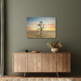 Kép - fa a sivatagban (üvegen) (70x50 cm)