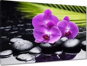 Festmények 120x80 Orchidea Valentin napra