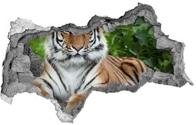 3d fali matrica lyuk a falban Szibériai tigris nd-b-129133169