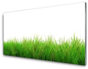 Modern üvegkép Grass Nature Plant 100x50 cm 4 fogas