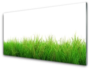 Modern üvegkép Grass Nature Plant 120x60cm