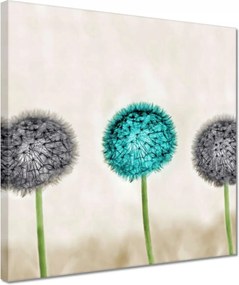 Vászonkép 30x30 Kék pitypang