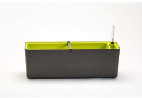 Plastia Berberis 60 önöntöző virágláda,  antracit + zöld, 60 cm