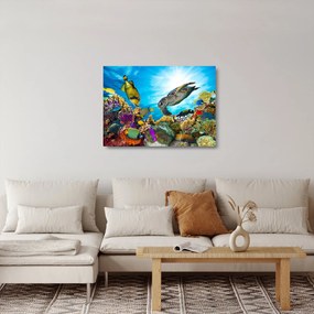 Egy korallzátony képe (üvegen) (70x50 cm)