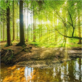 Stílusos Dekoratív Fotótapéta Flizelin Zöld táj 250x250 Ragasztó