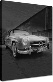 Vászonkép 30x40 Mercedes Szárnyas autó