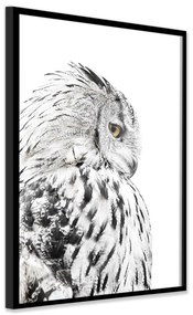 Kép 50x70 cm Owl – Styler
