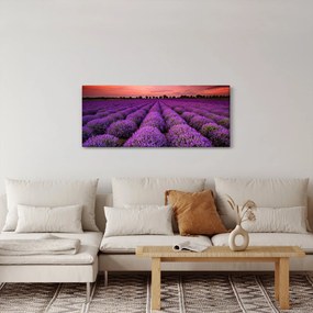 Kép - Levendula mező (120x50 cm)