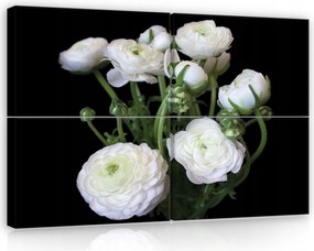 Vászonkép 120x80 Fehér virágok ranunculus virágos természet fali dekoráció