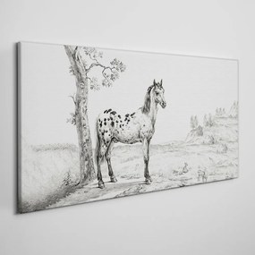Vászonkép Rajzok lovak állatok
