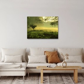 Kép - Ébredő erdő (70x50 cm)