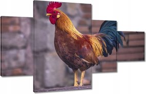 Képek 130x80 Kakas Egy igazi harcos