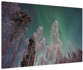 Az aurora borealis képe fagyos fák felett (90x60 cm)