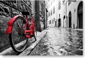 Kerékpár Fekete-fehér poszter B2 50x70cm kép #189