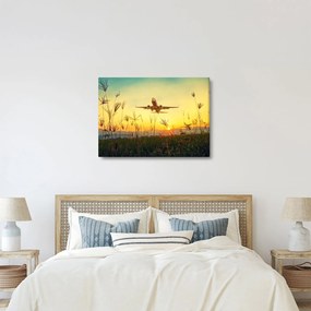 Kép a repülőgép felszállásáról (70x50 cm)