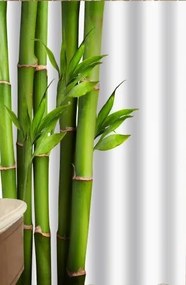 Zuhanyfüggöny - BAMBOO CANE - Impregnált textil - 180 x 200 cm