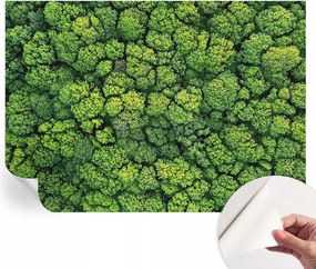 Öntapadós tapéta Divatos 3D fali ragasztóval Erdei panoráma 208x146 cm